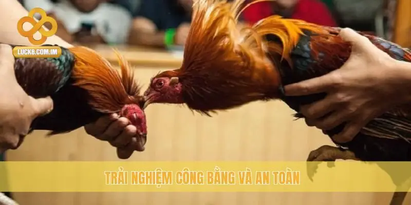 Trải nghiệm công bằng và an toàn